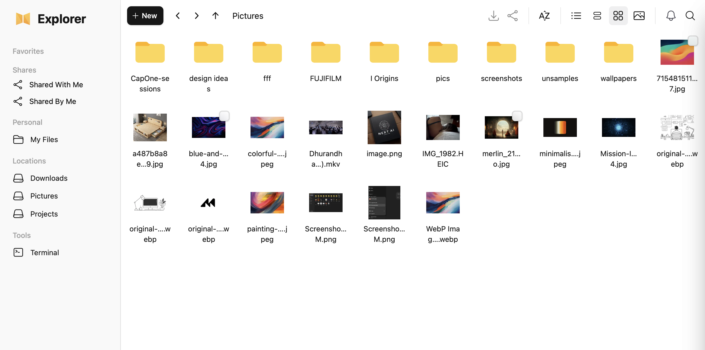nextExplorer workspace showing mounted volumes