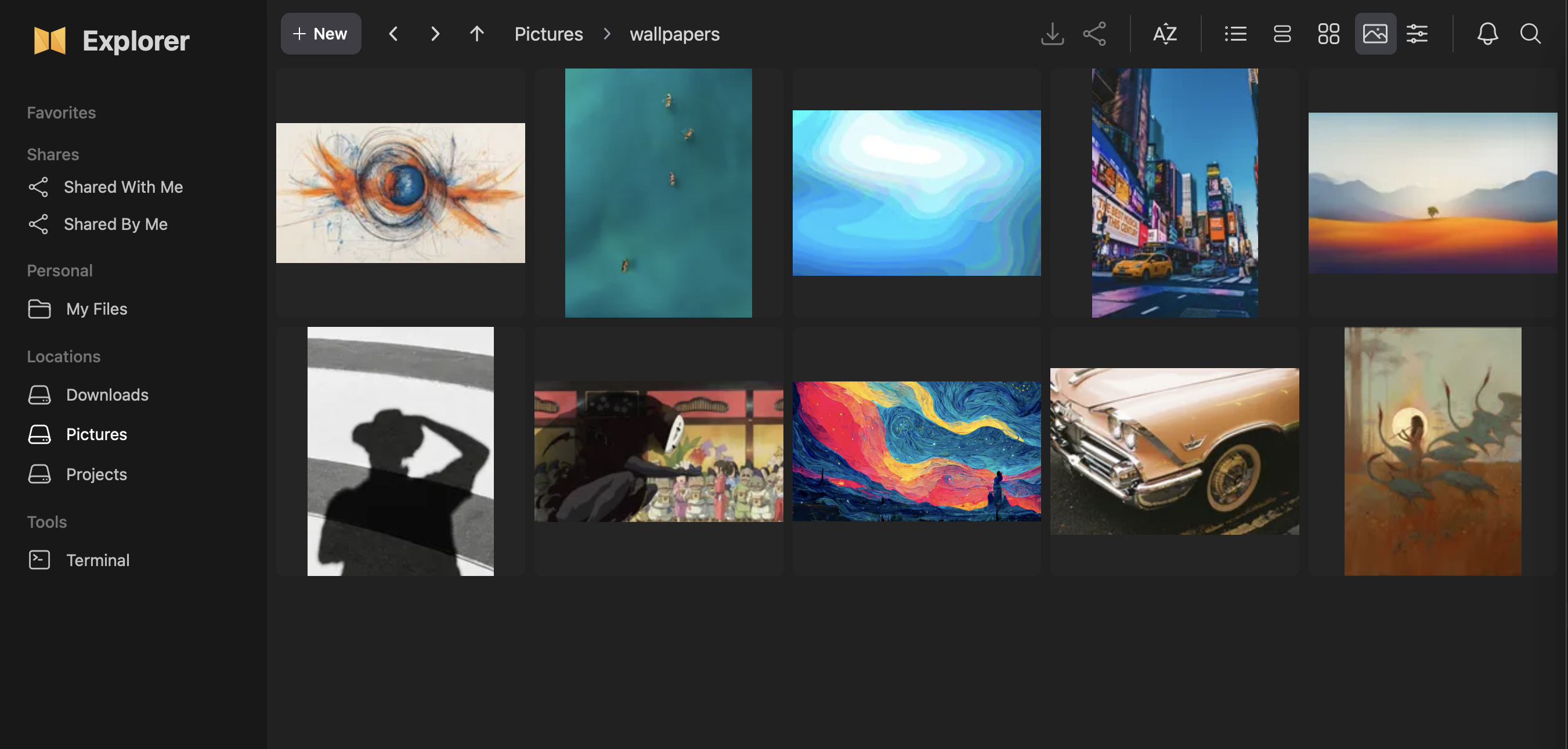 Image opened in nextExplorer's built-in media viewer